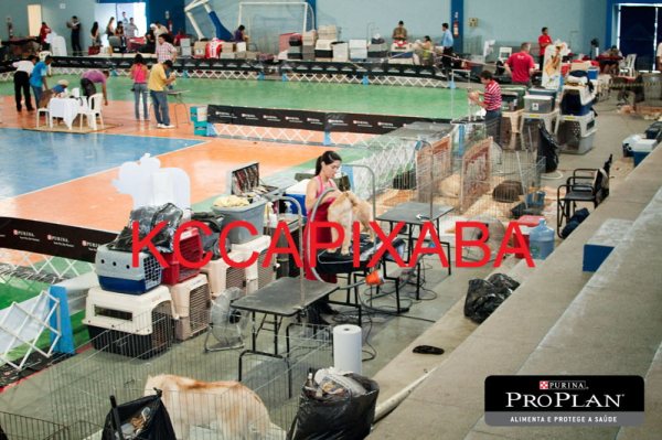 Clique sobre a foto para fechar